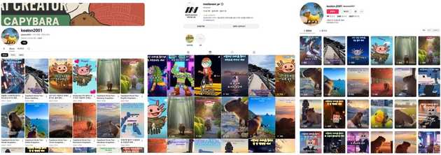 (5) 생성형 AI 활용 제작 콘텐츠 SNS 업로드 현황 , 이미지 출처: 미디어나비